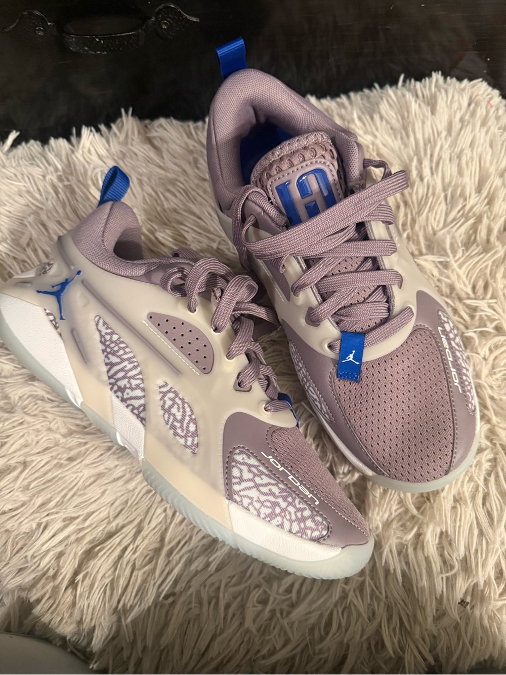 Jordan Women’s Lavender and Blue Low-Top Sneakers